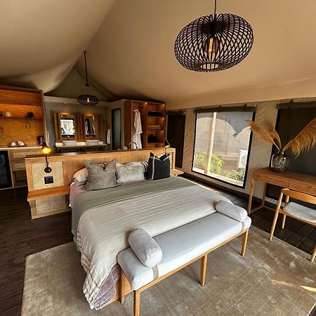 Paterson Addo Elephant Safari Lodge - Bellevue Forest Reserve מראה חיצוני תמונה