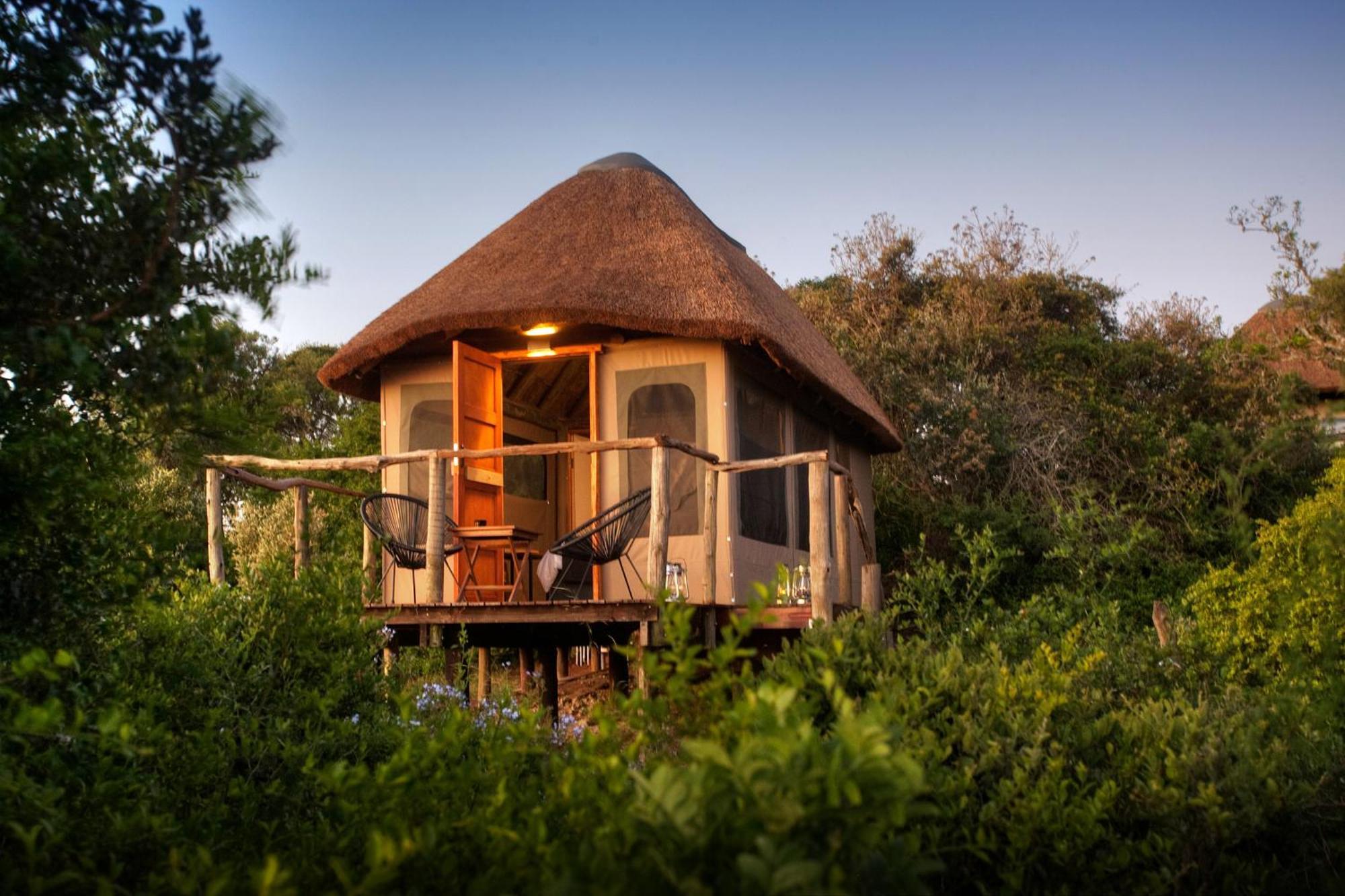 Paterson Addo Elephant Safari Lodge - Bellevue Forest Reserve מראה חיצוני תמונה