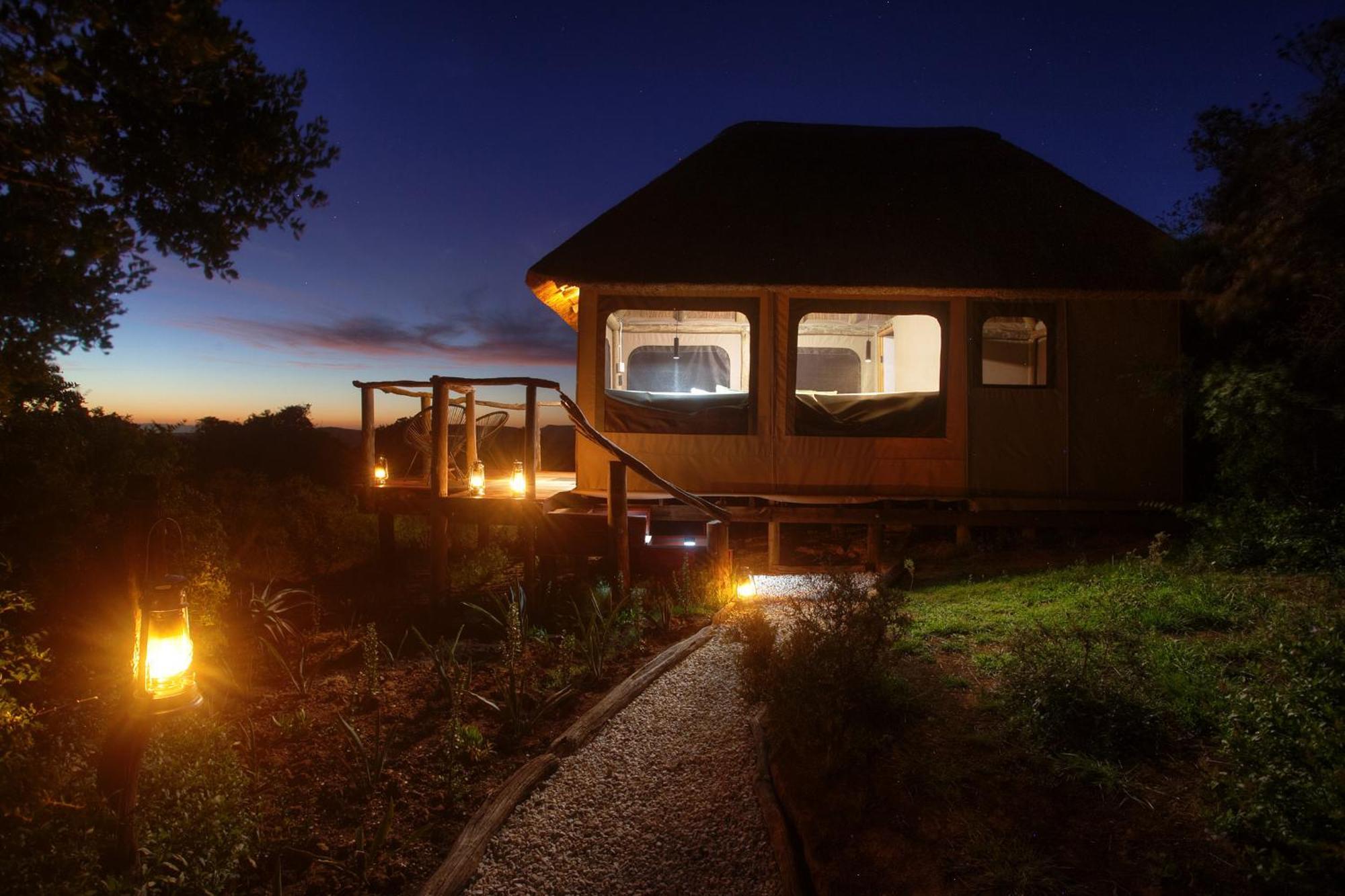 Paterson Addo Elephant Safari Lodge - Bellevue Forest Reserve מראה חיצוני תמונה
