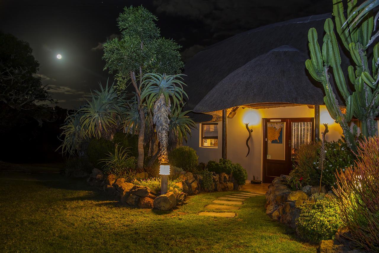 Paterson Addo Elephant Safari Lodge - Bellevue Forest Reserve מראה חיצוני תמונה
