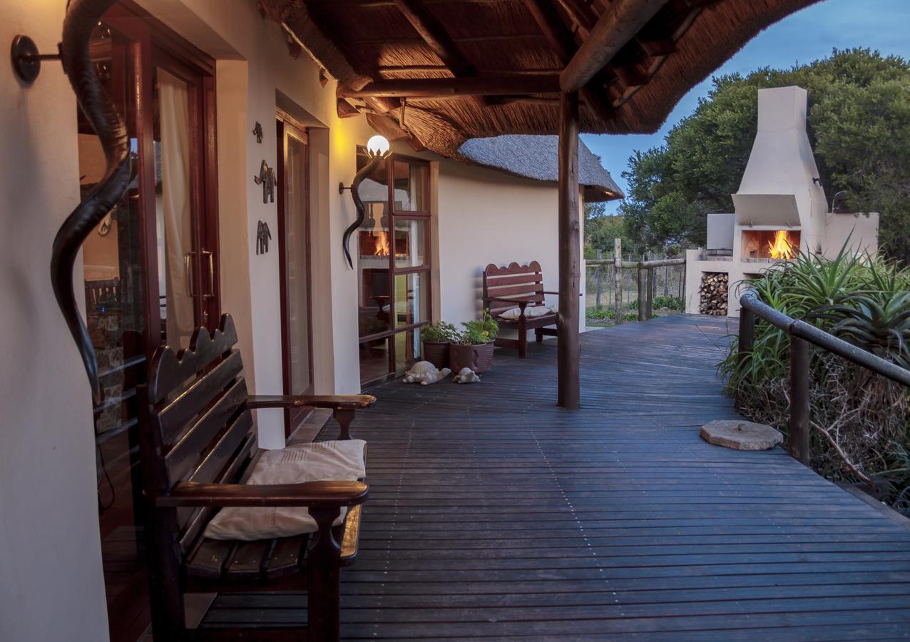 Paterson Addo Elephant Safari Lodge - Bellevue Forest Reserve מראה חיצוני תמונה