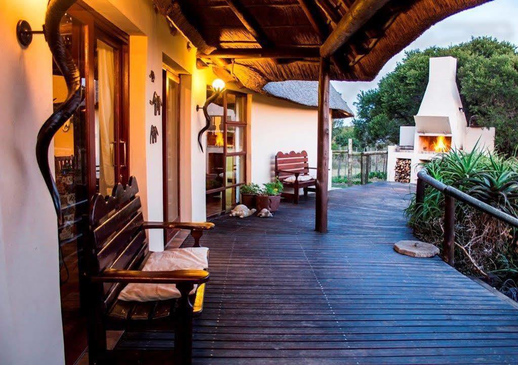 Paterson Addo Elephant Safari Lodge - Bellevue Forest Reserve מראה חיצוני תמונה