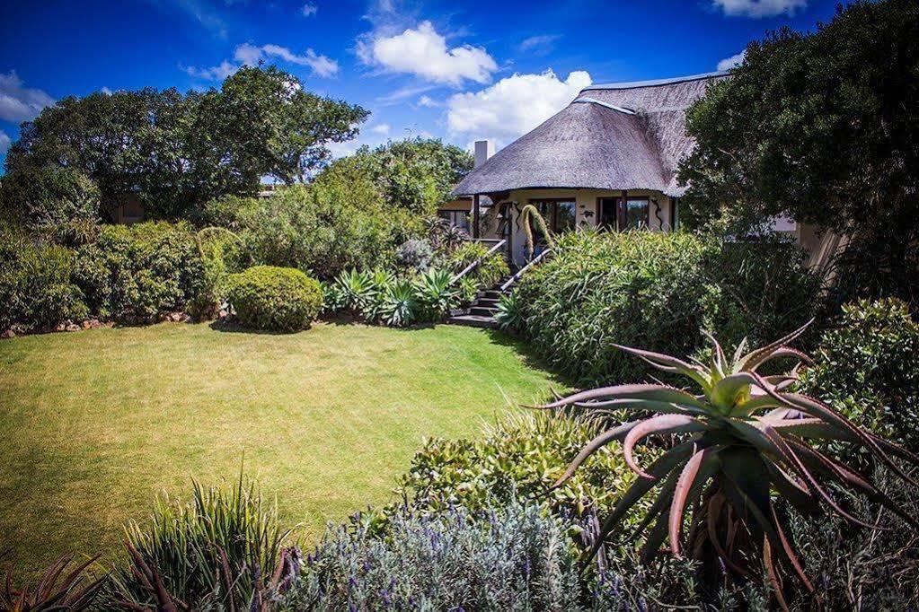 Paterson Addo Elephant Safari Lodge - Bellevue Forest Reserve מראה חיצוני תמונה