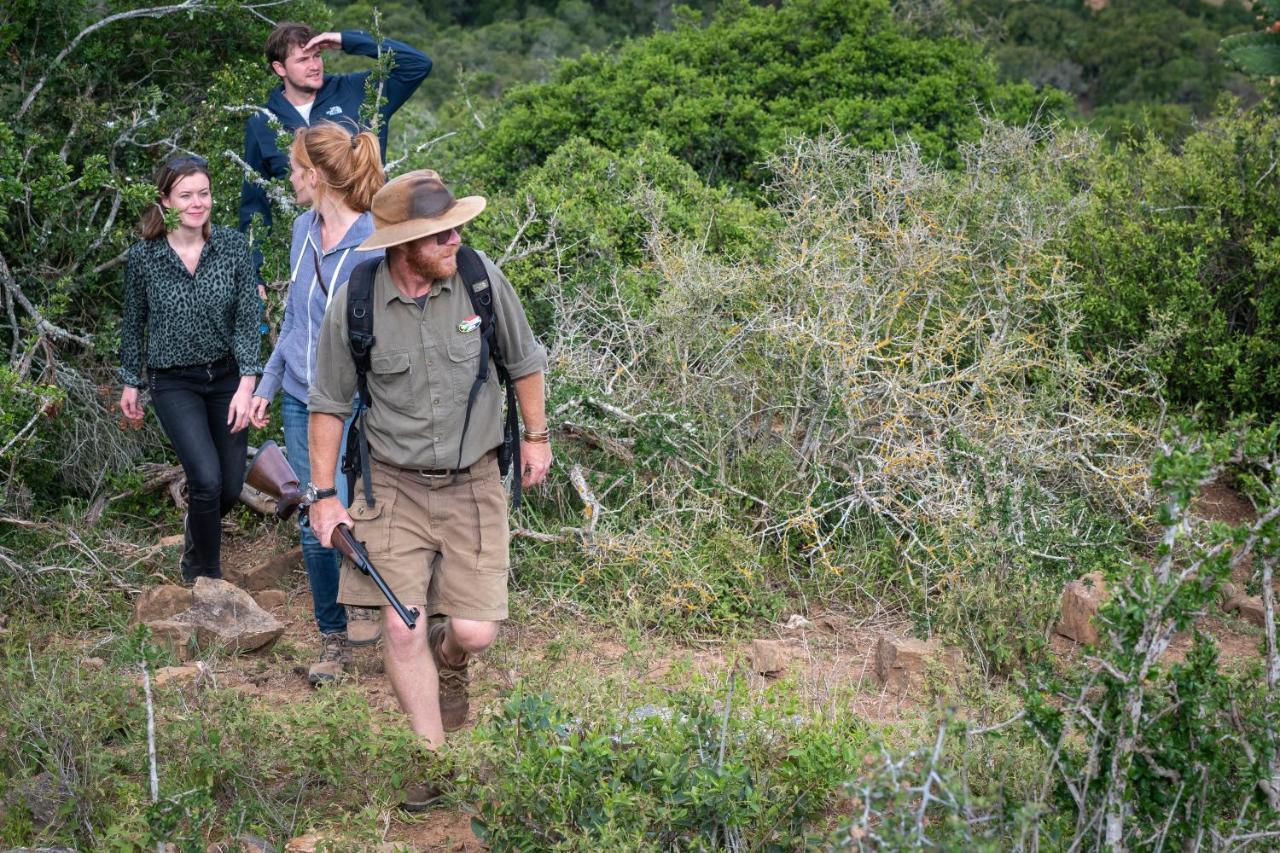 Paterson Addo Elephant Safari Lodge - Bellevue Forest Reserve מראה חיצוני תמונה