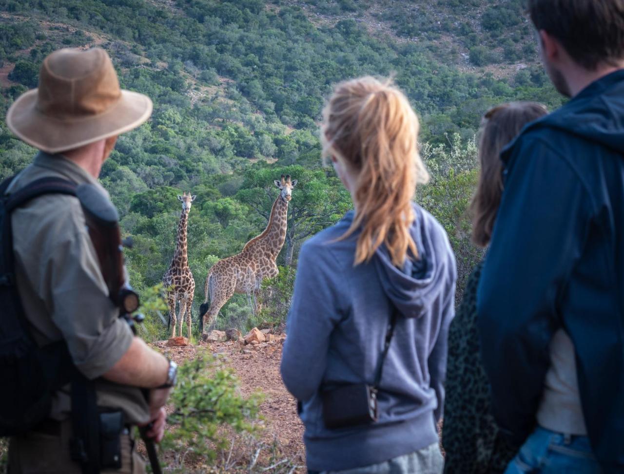 Paterson Addo Elephant Safari Lodge - Bellevue Forest Reserve מראה חיצוני תמונה