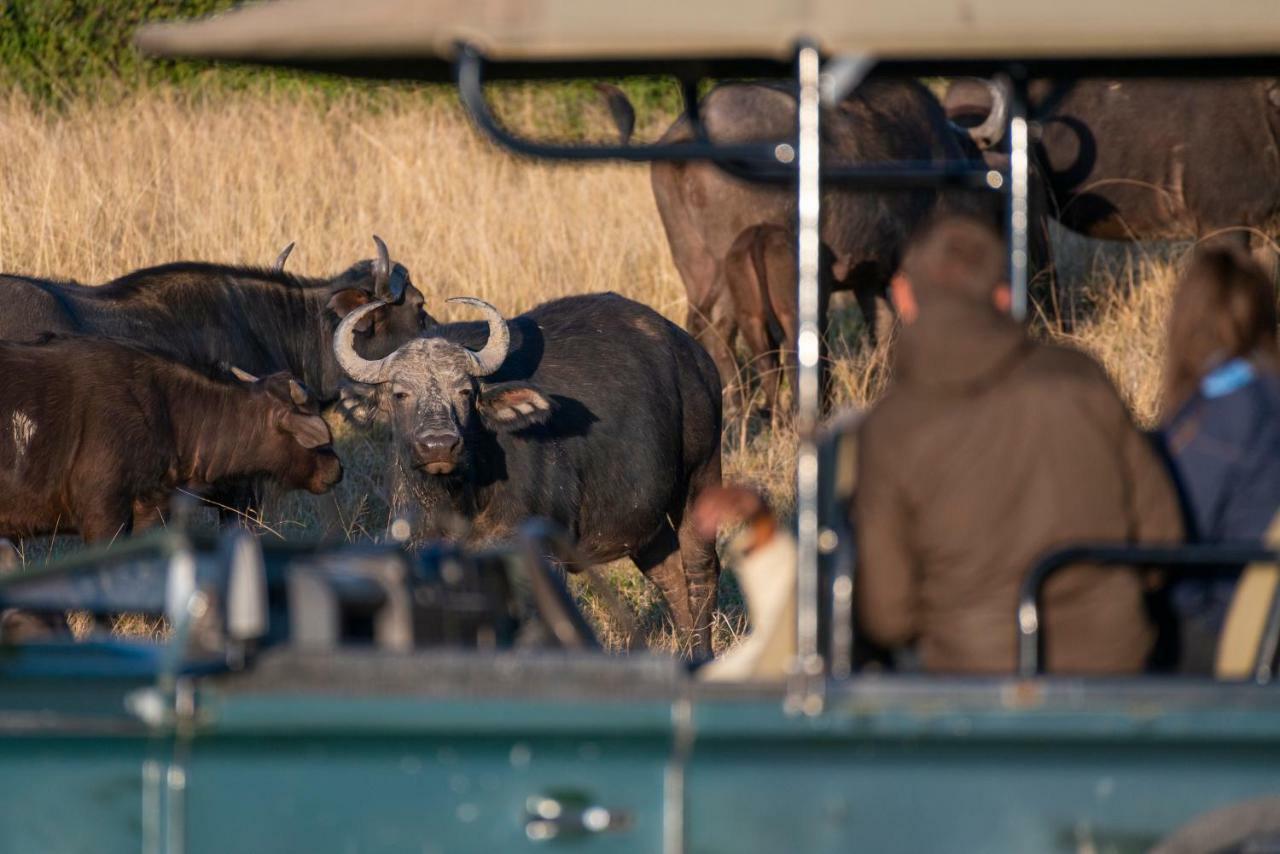 Paterson Addo Elephant Safari Lodge - Bellevue Forest Reserve מראה חיצוני תמונה