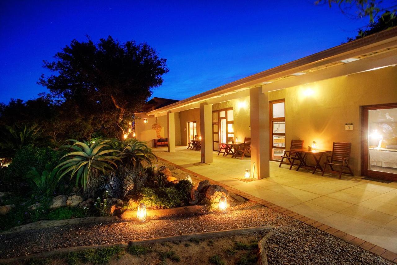 Paterson Addo Elephant Safari Lodge - Bellevue Forest Reserve מראה חיצוני תמונה