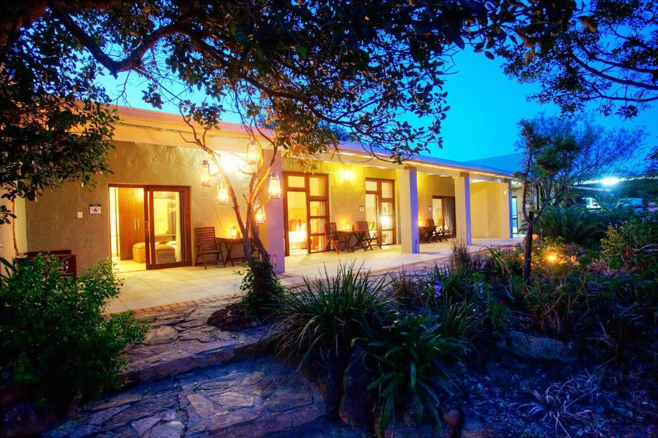 Paterson Addo Elephant Safari Lodge - Bellevue Forest Reserve מראה חיצוני תמונה