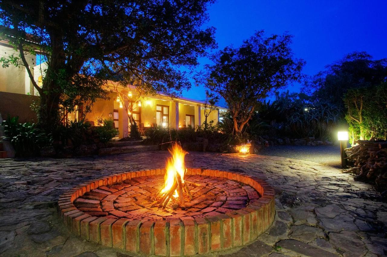Paterson Addo Elephant Safari Lodge - Bellevue Forest Reserve מראה חיצוני תמונה