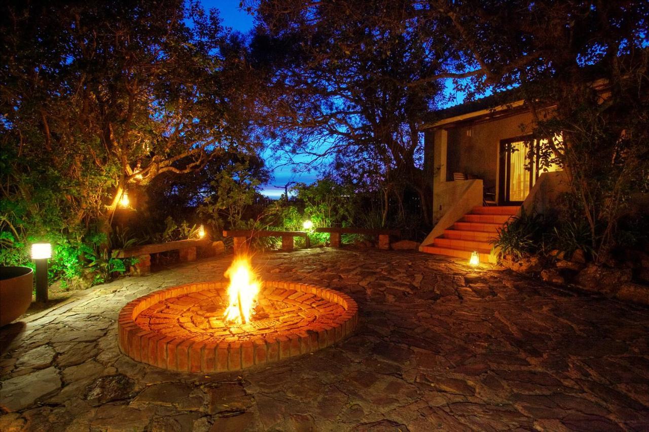 Paterson Addo Elephant Safari Lodge - Bellevue Forest Reserve מראה חיצוני תמונה