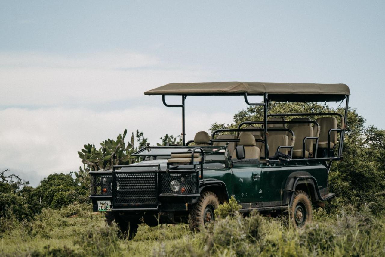 Paterson Addo Elephant Safari Lodge - Bellevue Forest Reserve מראה חיצוני תמונה